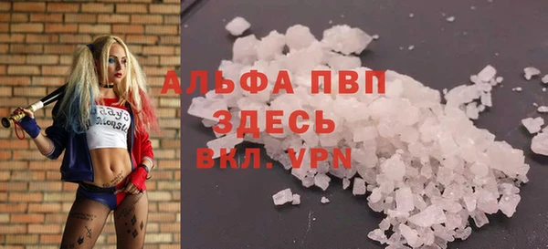 молекула духа Нефтекумск