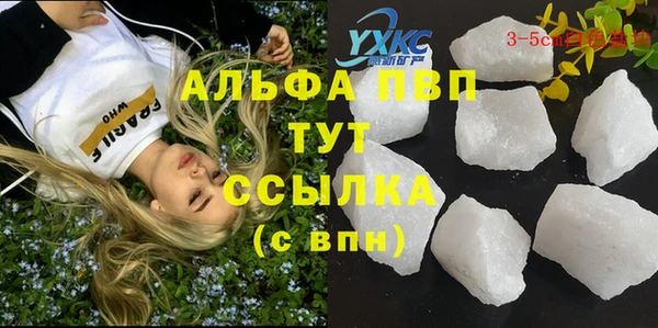 спиды Новокубанск