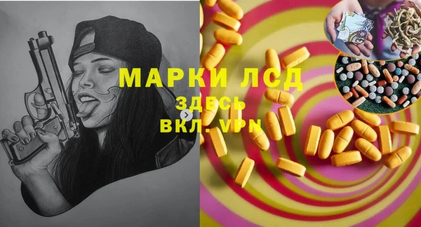 твердый Новодвинск