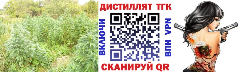 Дистиллят ТГК вейп  Купить  Судогда 