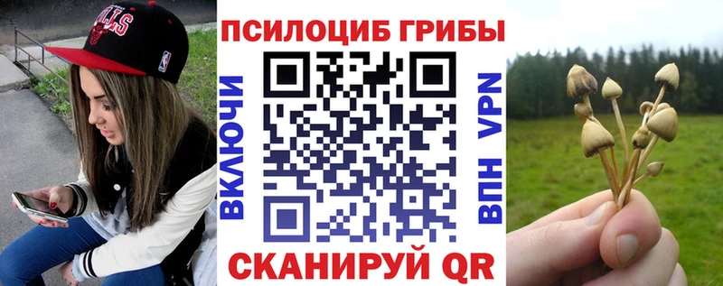 Купить где  Судогда  Псилоцибиновые грибы ЛСД 