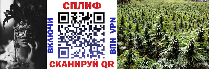 Конопля конопля  Купить где  Судогда 